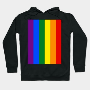 Pride flag....LGBTQI Rights flag Hoodie